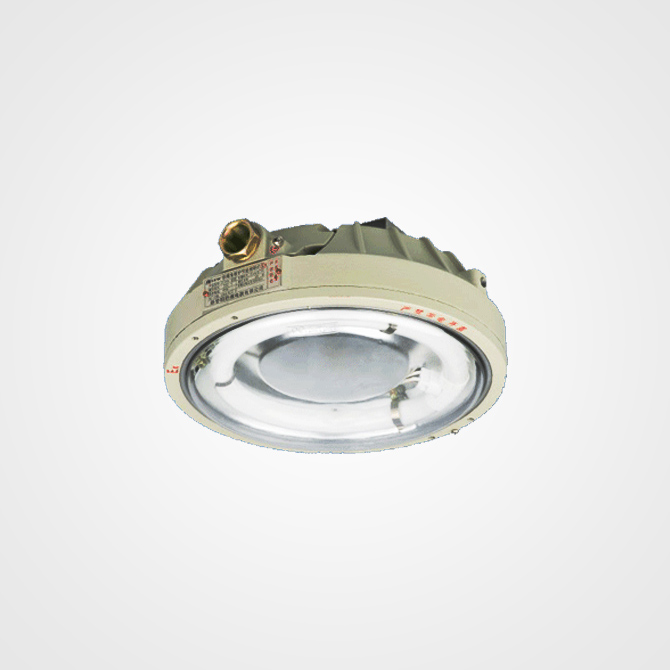 Led Ccd 96 Series 02 Explosion Proof Light Fitting Iic Td - Energy Saving Light Fittings Ceiling Led Ccd 96 Series 02 Explosion Proof Light Fitting Iic Td - Energy Saving Light Fittings Ceiling